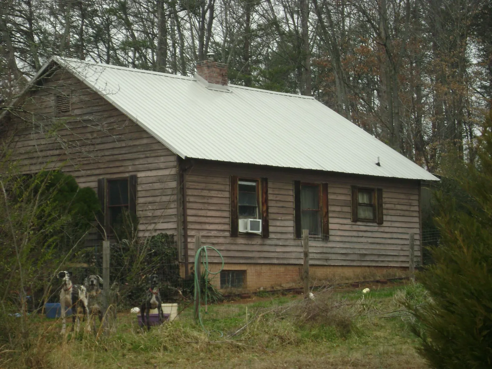 White metal roof on an old wood sided farmhouse, from a Metal Roof Installation job in Wellesley Hills